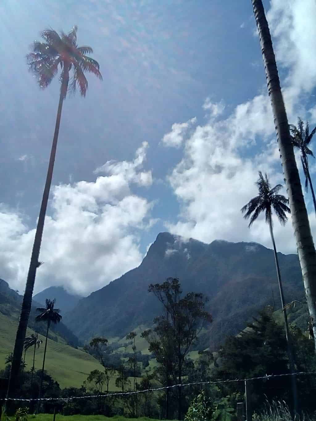 Cordillera de los Andes colombianos, cuna de cuencas hídricas y comunidades de cuidado