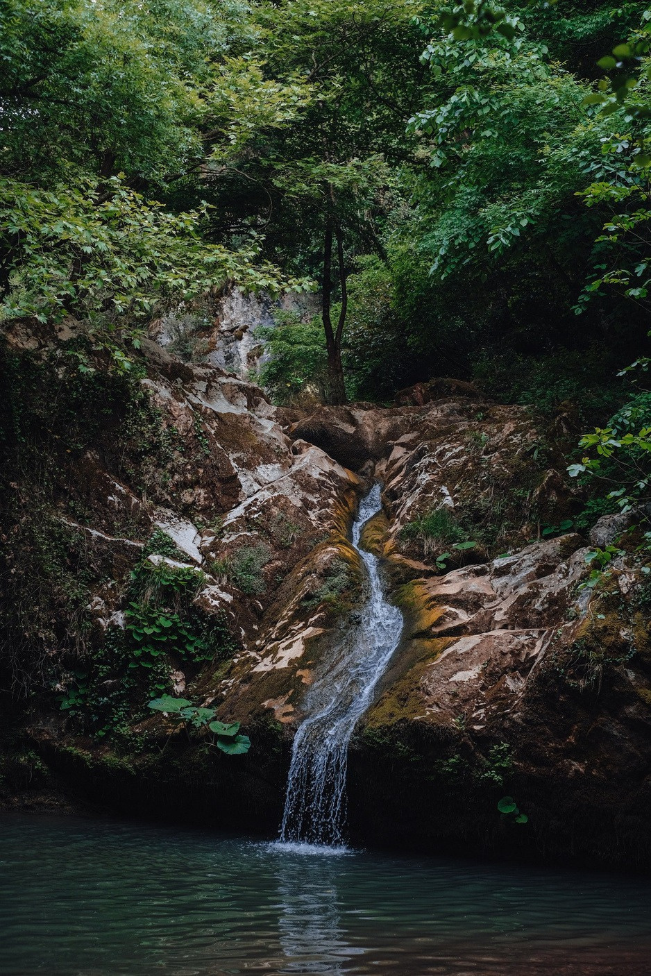 Ecosistema andino con niebla, cascadas y bosques vírgenes