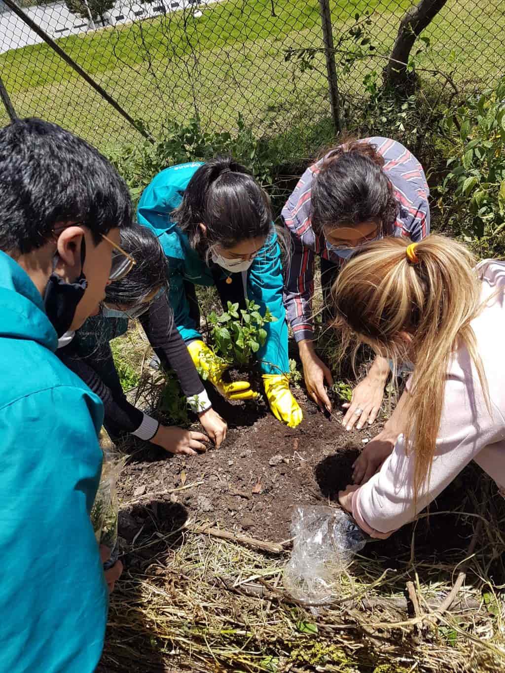 Personas trabajando en minga comunitaria plantando árboles y cultivos en Colombia